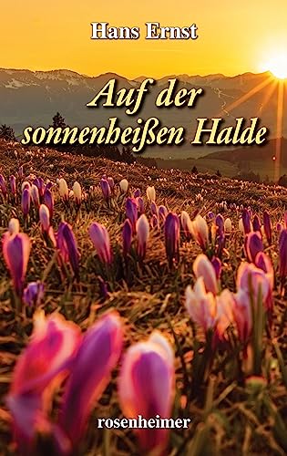 9783475532726: Auf der sonnenheien Halde