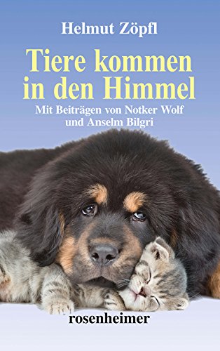 Beispielbild fr Tiere kommen in den Himmel zum Verkauf von medimops