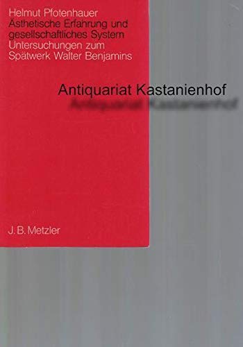9783476003072: Theodor Fontane: Soziale Romankunst in Deutschland