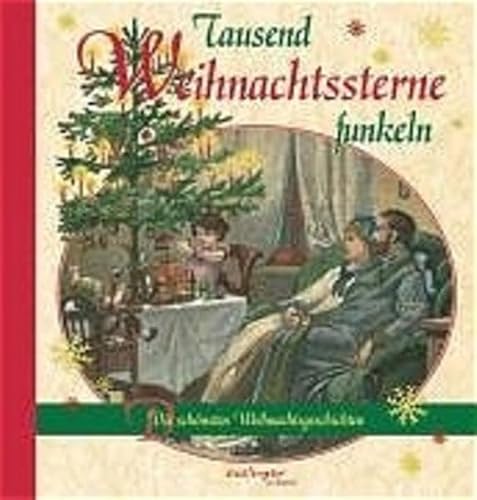 9783480220175: Tausend Weihnachtssterne funkeln