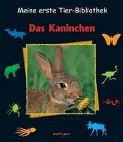 Beispielbild fr Das Kaninchen zum Verkauf von medimops