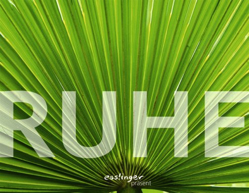 Stock image for Ruhe for sale by Gabis Bcherlager