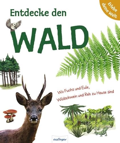 Beispielbild fr Entdecke den Wald: Wo Fuchs und Eule, Wildschweine und Reh zu Hause sind zum Verkauf von medimops