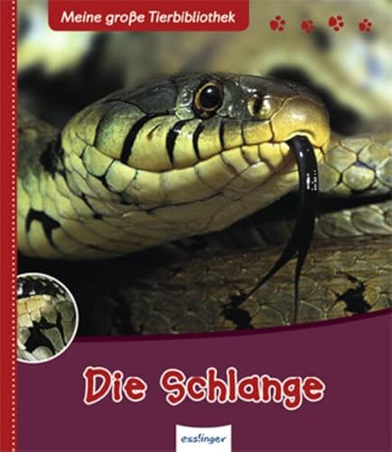 9783480227624: Die Schlange: Meine groe Tier-Bibliothek