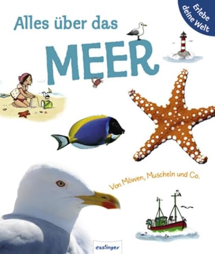 9783480227754: Alles ber das Meer. Von Mwen, Muscheln & Co