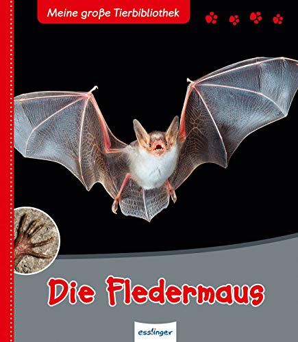 Stock image for Die Fledermaus for sale by medimops