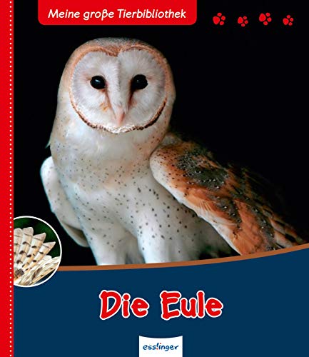 Stock image for Die Eule for sale by medimops