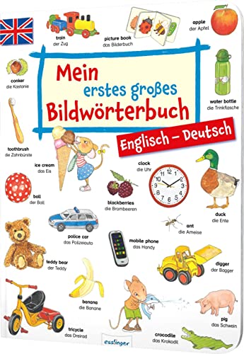 9783480229741: Mein erstes groes Bildwrterbuch - Englisch/Deutsch