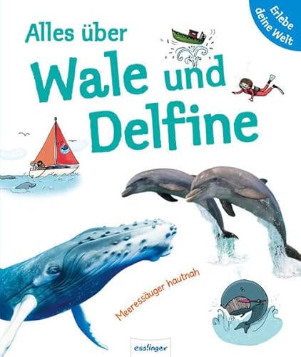 Beispielbild fr Alles ber Wale und Delfine zum Verkauf von medimops