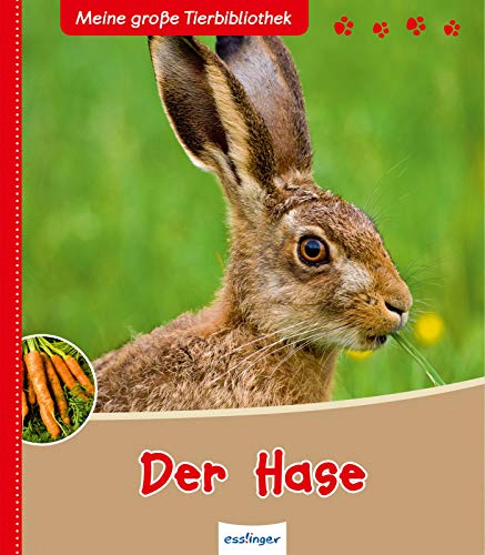 Stock image for Der Hase for sale by medimops