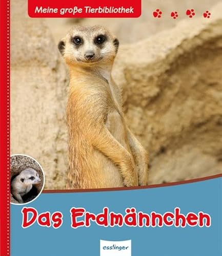 Stock image for Das Erdmnnchen for sale by medimops