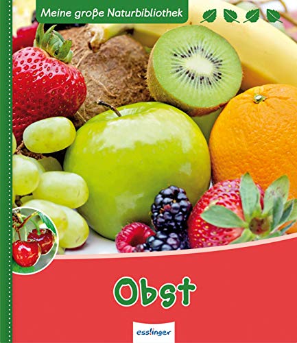 9783480231058: Obst