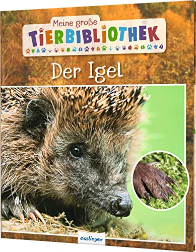 Imagen de archivo de Meine groe Tierbibliothek Der Igel a la venta por PBShop.store US