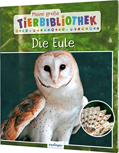 Stock image for Meine groe Tierbibliothek: Die Eule -Language: german for sale by GreatBookPrices