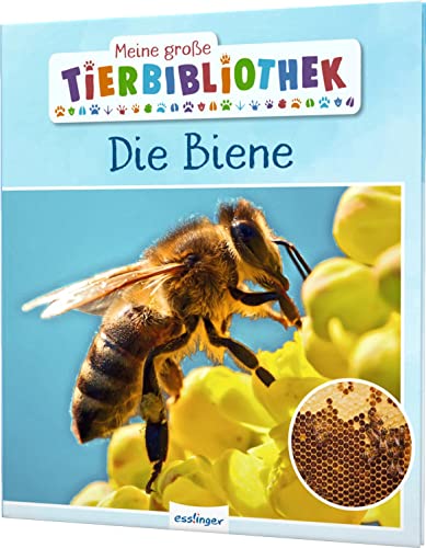 Stock image for Meine groe Tierbibliothek: Die Biene -Language: german for sale by GreatBookPrices