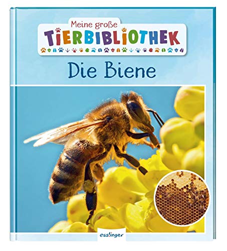 Stock image for Meine groe Tierbibliothek: Die Biene -Language: german for sale by GreatBookPrices