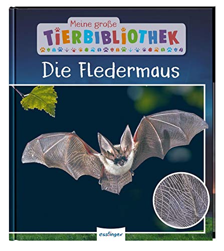 Beispielbild fr Die Fledermaus (Meine groe Tierbibliothek) zum Verkauf von medimops