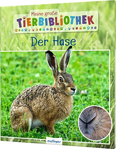 Stock image for Meine groe Tierbibliothek: Der Hase -Language: german for sale by GreatBookPrices