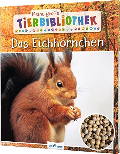 Beispielbild fr Meine groe Tierbibliothek: Das Eichhrnchen -Language: german zum Verkauf von GreatBookPrices