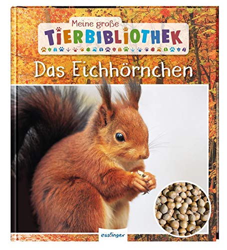 9783480236558: Meine groe Tierbibliothek: Das Eichhrnchen: Sachbuch fr Vorschule & Grundschule
