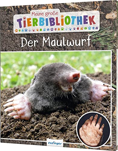 Stock image for Meine groe Tierbibliothek: Der Maulwurf for sale by Blackwell's