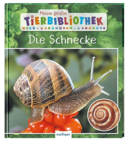 Stock image for Meine groe Tierbibliothek: Die Schnecke -Language: german for sale by GreatBookPrices