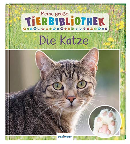 9783480236596: Meine groe Tierbibliothek: Die Katze: Sachbuch fr Vorschule & Grundschule