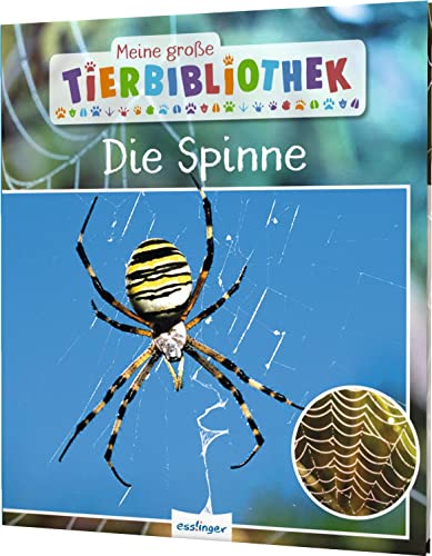 Stock image for Meine groe Tierbibliothek: Die Spinne -Language: german for sale by GreatBookPrices