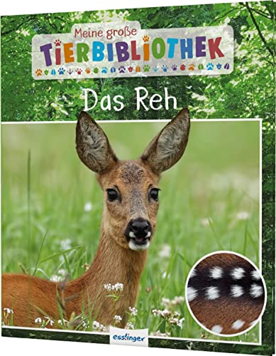 Stock image for Meine groe Tierbibliothek: Das Reh: Erstes Wissen fr Vor- und Grundschule for sale by medimops