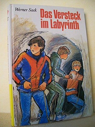 Beispielbild fr Das Versteck im Labyrinth zum Verkauf von Antiquariat Armebooks