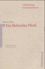 Oldenbourg Interpretationen, Bd.27, Ein fliehendes Pferd - Walser, Martin