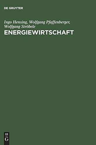 9783486243154: Energiewirtschaft: Einfhrung in Theorie Und Politik