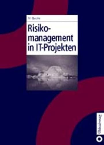 9783486257434: Risikomanagement in It-Projekten