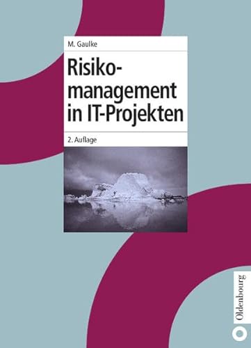 9783486275995: Risikomanagement in It-projekten