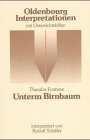 Stock image for Theodor Fontane: Unterm Birnbaum. Interpretationen for sale by German Book Center N.A. Inc.