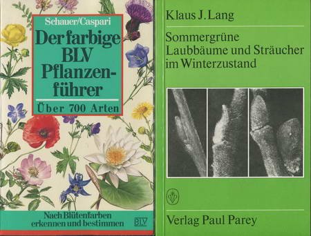 Stock image for Sommergrne Laubbume und Strucher im Winterzustand. Ein Bestimmungsbuch for sale by medimops