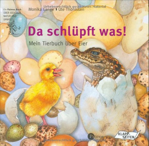 Imagen de archivo de Da schlpft was!: Mein Tierbuch ber Eier a la venta por medimops