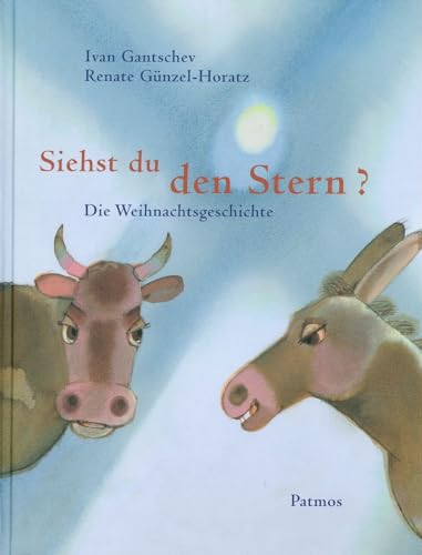 Stock image for Siehst du den Stern? for sale by medimops