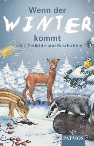 Stock image for Wenn der Winter kommt, 1 Cassette for sale by medimops