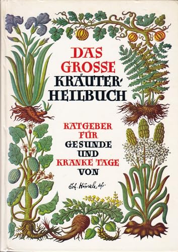 9783491961623: Das grosse Kruterheilbuch: Ratgeber fr gesunde und kranke Tage nach der giftfreien Heilmethode und den Originalrezepten