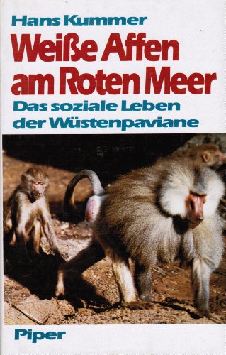 Weiße Affen am Roten Meer