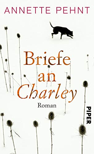 9783492057288: Briefe an Charley: Ein Roman