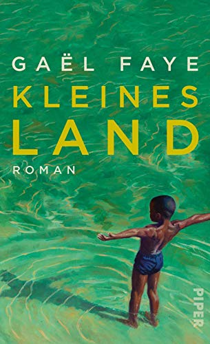 Stock image for Kleines Land: Roman for sale by medimops
