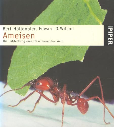 9783492234146: Ameisen: Die Entdeckung einer faszinierenden Welt