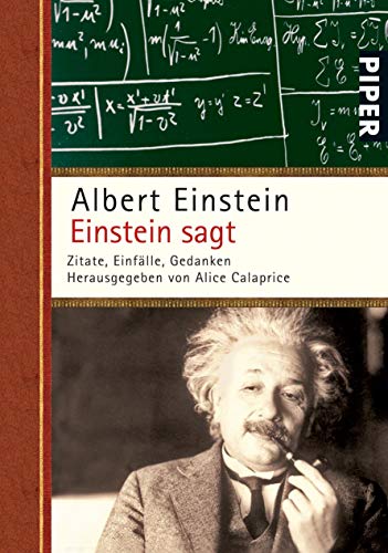 9783492250894: Einstein sagt: Zitate, Einflle, Gedanken