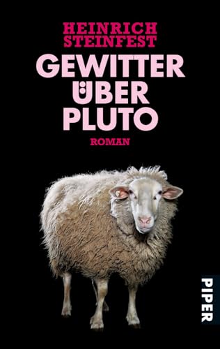 Stock image for Gewitter über Pluto: Roman for sale by WorldofBooks