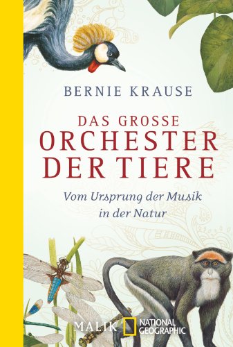 Das große Orchester der Tiere: Vom Ursprung der Musik in der Natur - Krause, Bernie