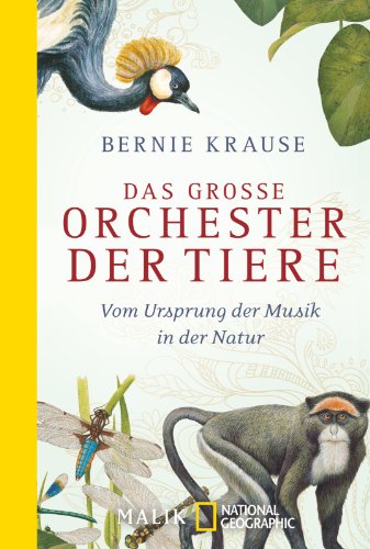 Stock image for Das groe Orchester der Tiere: Vom Ursprung der Musik in der Natur for sale by medimops