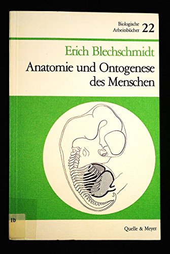 Beispielbild fr Anatomie und Ontogenese des Menschen zum Verkauf von medimops