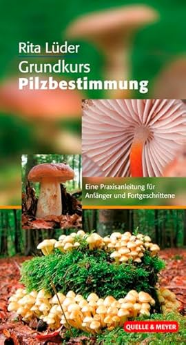 Stock image for Grundkurs Pilzbestimmung. Eine Praxisanleitung fr Anfnger und Fortgeschritte for sale by medimops